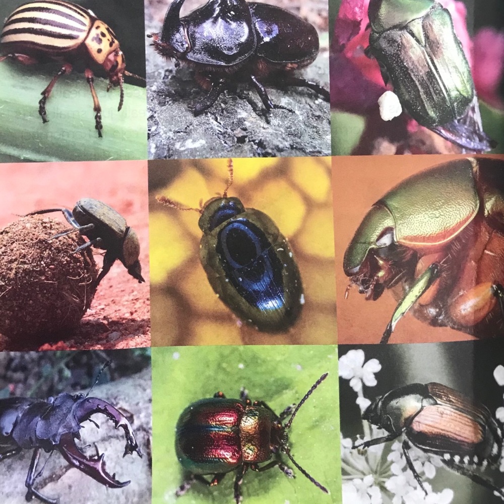 Meet your Posher, Erika